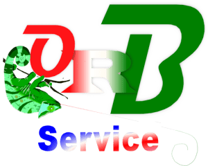 Logo ORB Service Madagascar