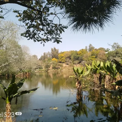 La_nature_du_parc_tsimbazaza_à_Madagascar